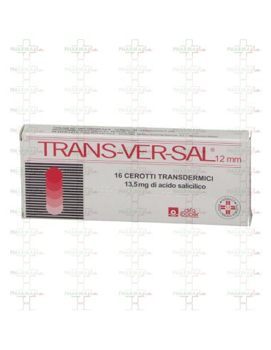 TRANSVERSAL TRANS-VER-SAL*16 DISCHETTI 12MM